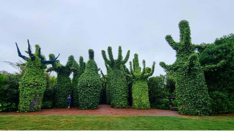 From Auckland: Hobbiton & Hamilton Gardens Small Group Tour - Hamilton Gardens: your 1.5-hour self-guided route through cultures