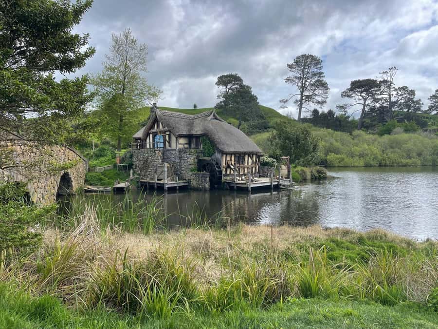 From Auckland: Hobbiton Movie Set and Waitomo Caves Tour - Price and Value at $234: What You Get for a Full Day