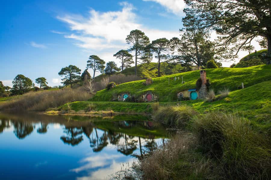 From Auckland: Hobbiton Movie Set Full-Day Small-Group Trip - Key Things to Know Before You Go