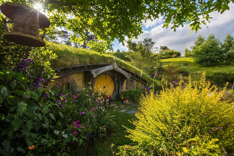 From Auckland: Hobbiton Movie Set Full-Day Small-Group Trip - Why the Early Start Makes Hobbiton Feel Special
