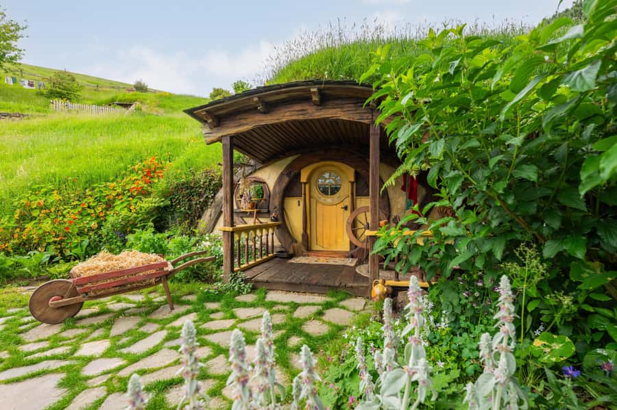 From Auckland: Hobbiton Movie Set Full-Day Trip - Key things that make this tour worth your time