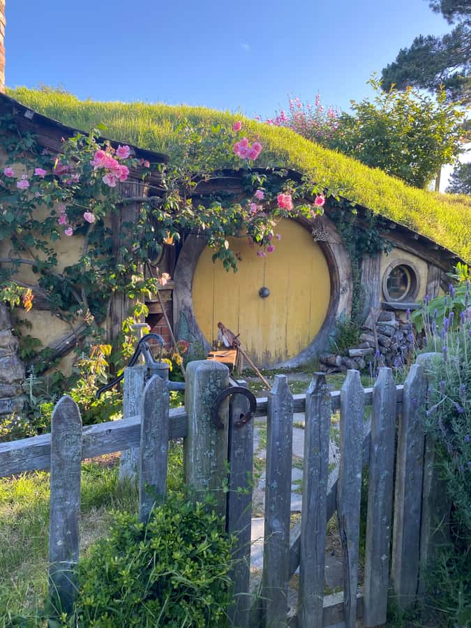 From Auckland: Hobbiton Movie Set - Private Tour - Key highlights and why they matter
