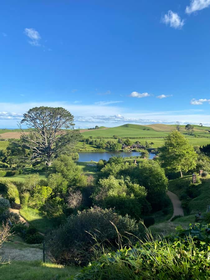 From Auckland: Hobbiton Movie Set - Private Tour - Alexander Family Sheep Farm and Shire’s Rest: where the day feels like New Zealand, not just film props