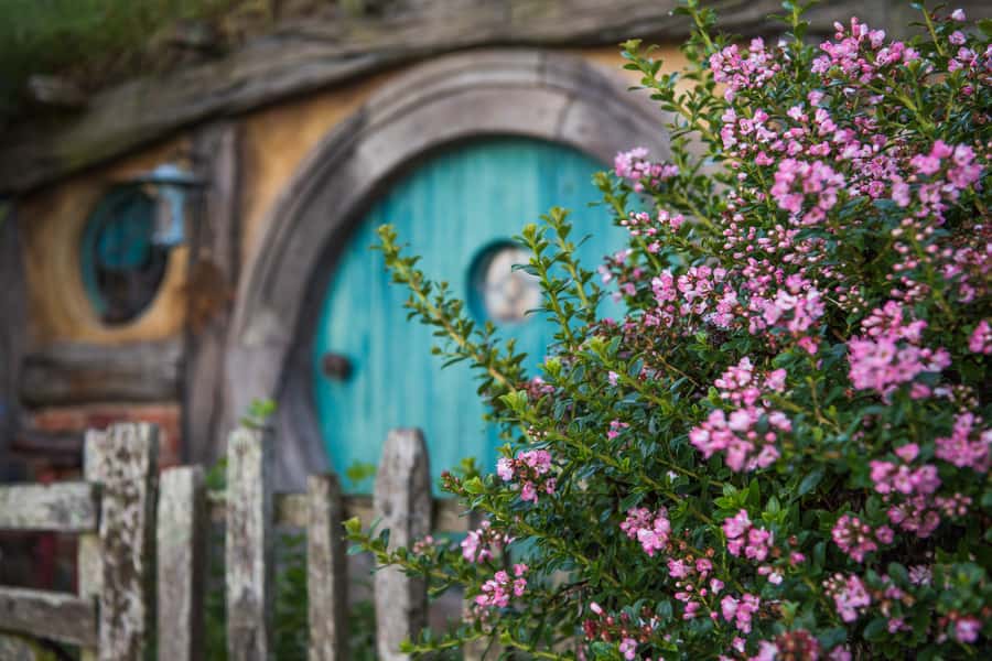 From Auckland: Hobbiton Movie Set Trip with Guided Tour - Who should book this Hobbiton-from-Auckland tour