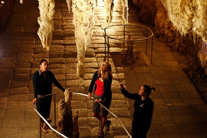 From Auckland:Hobbiton Movie Set & Waitomo Caves Small Group Tour - Shire’s Rest, then a drink at the Green Dragon Inn