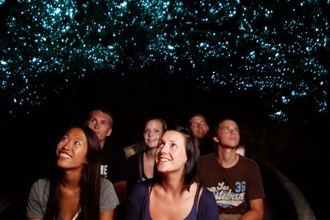 From Auckland:Hobbiton Movie Set & Waitomo Caves Small Group Tour - Price and value: why this combo can work out