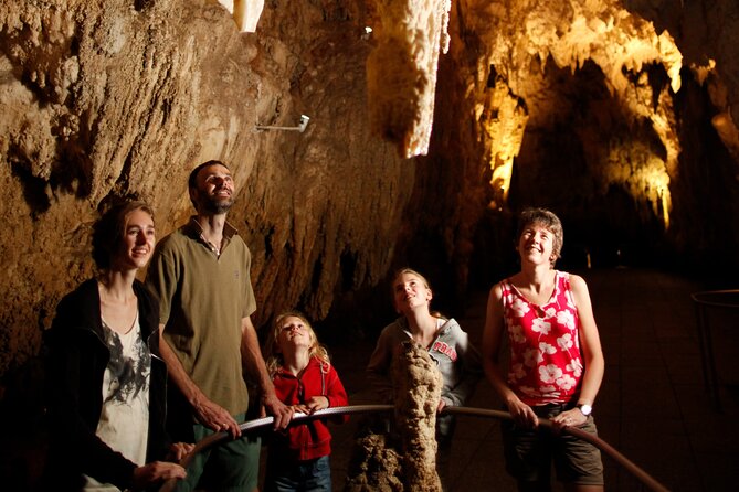 From Auckland:Hobbiton Movie Set & Waitomo Caves Small Group Tour - Pickup, comfort, and the guide rhythm you will notice