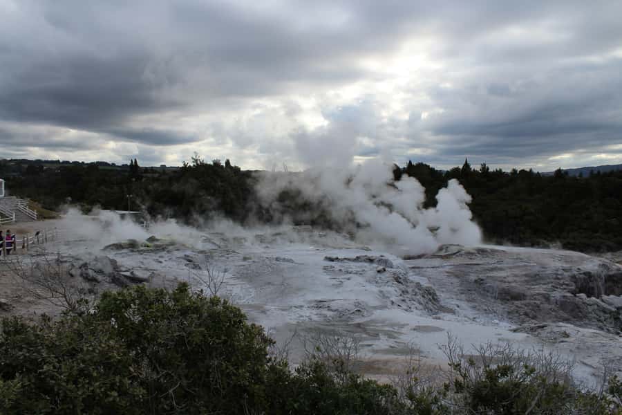 From Auckland: Hobbiton & Rotorua Tour with Lunch at Te Puia - Who Should Book This Hobbiton Plus Rotorua Day