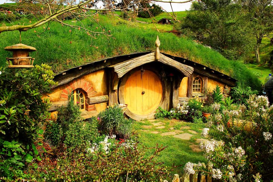 From Auckland: Hobbiton & Rotorua Tour with Lunch at Te Puia - Te Puia and the Te Whakarewarewa Valley: Geothermal Power Up Close