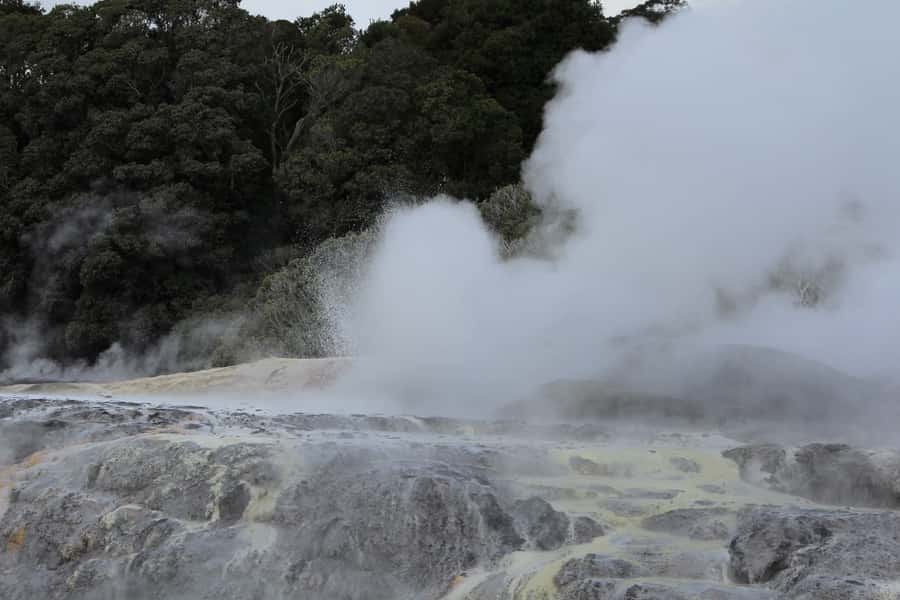 From Auckland: Hobbiton & Rotorua Tour with Lunch at Te Puia - Lunch at Te Puia: Buffet Meals With Real Setting Time