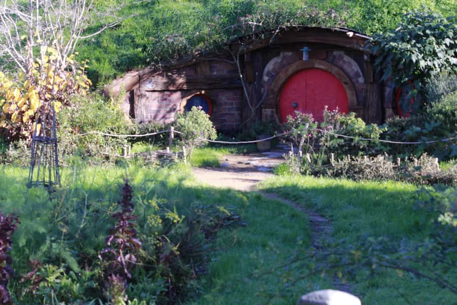 From Auckland: Hobbiton & Rotorua Tour with Lunch at Te Puia - Timing, Driving, and How to Make a Long Day Work