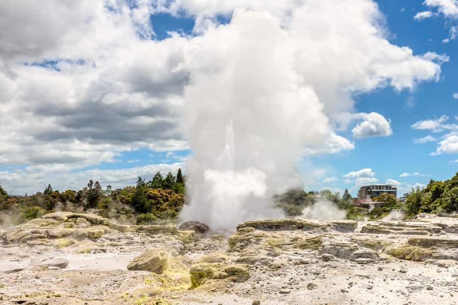 From Auckland: Hobbiton & Rotorua Tour with Lunch at Te Puia - Price and Value: Is $286 a Fair Deal?
