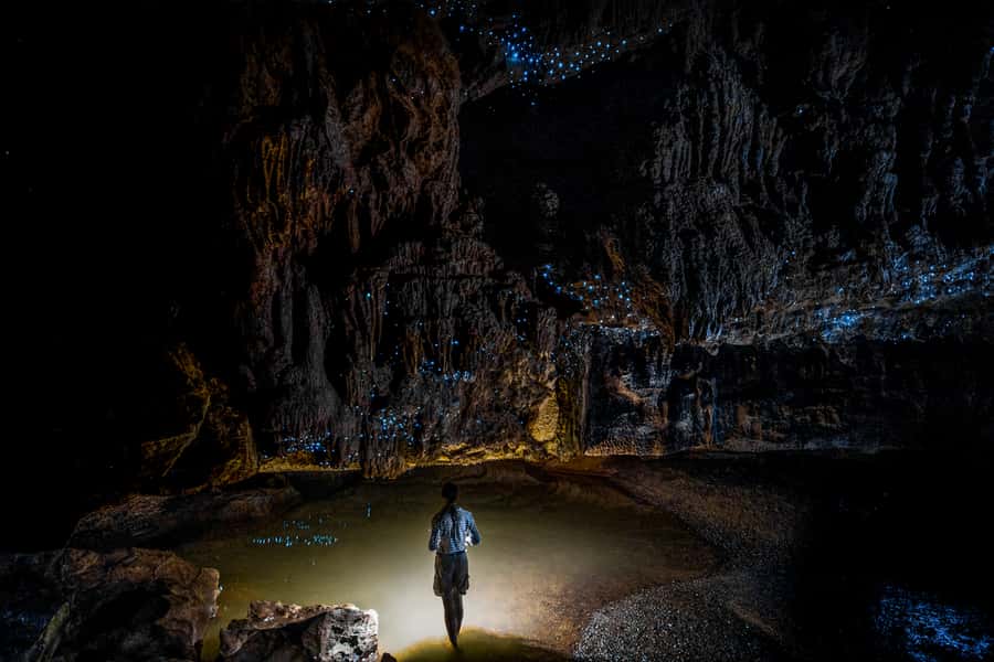 From Auckland or Rotorua: Hobbiton & Waitomo Tour with Lunch - Key things you should know before you go