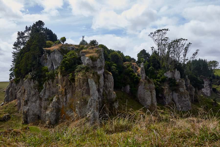 From Auckland or Rotorua: Hobbiton & Waitomo Tour with Lunch - Group size and “will we feel split up?” reality check