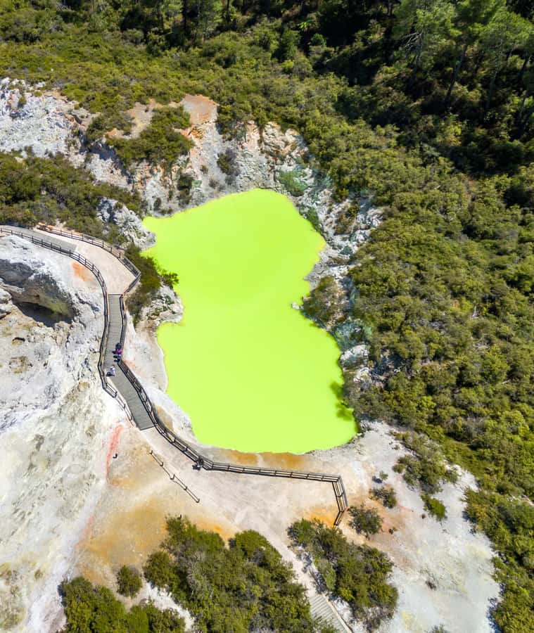 From Auckland: Rotorua Māori Village & Activity Combinations - Guides and the value of a well-run schedule