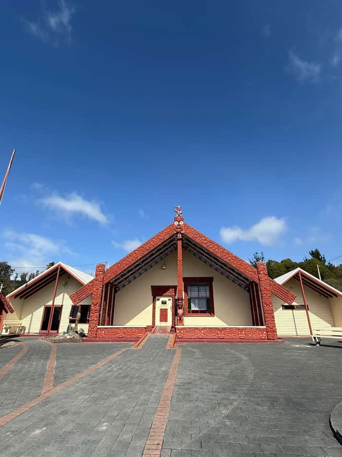 From Auckland: Rotorua Māori Village, Haka & Glowworm Caves - Pace, comfort, and what to wear for this long day