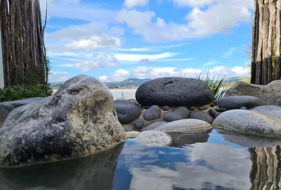 From Auckland: Rotorua Māori Village & Hot Springs with Haka - Polynesian Spa: How the Hot Pools Reset Your Whole Day