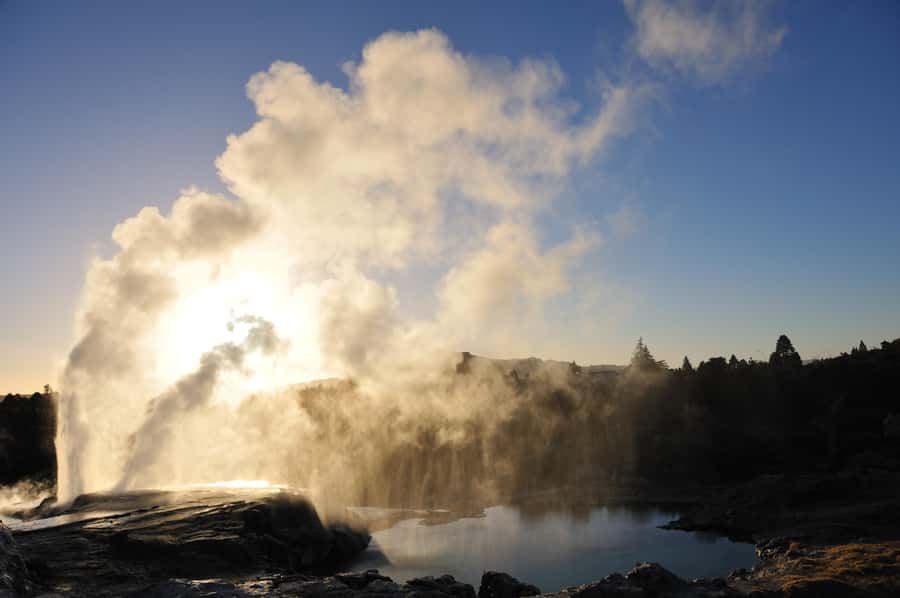 From Auckland: Rotorua Te Puia, Haka & Polynesian Spa Tour - From Auckland to Rotorua, you trade flights for a single day plan