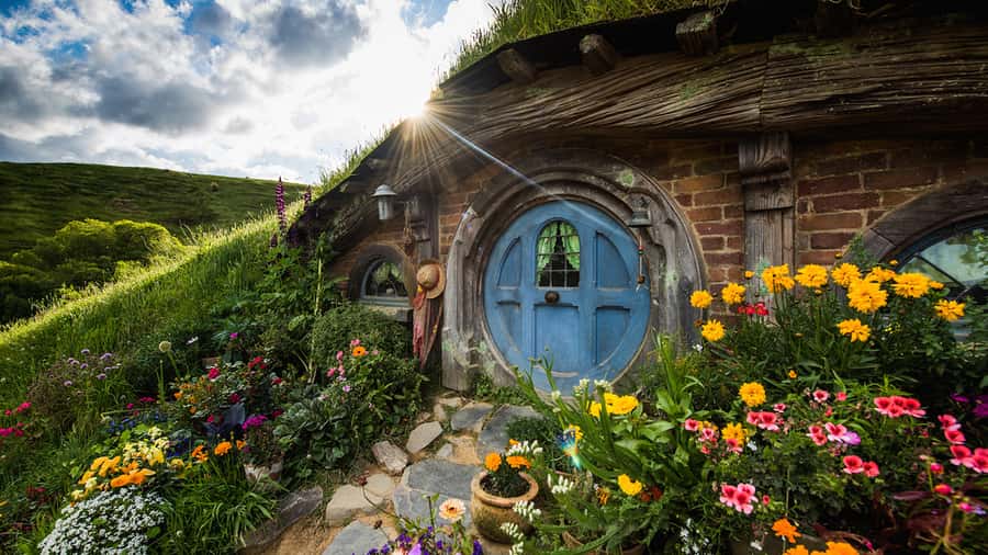 From: Auckland: Rotorua via Hobbiton Tour One Way Tour - Waikato countryside on the road: the drive is part of the show