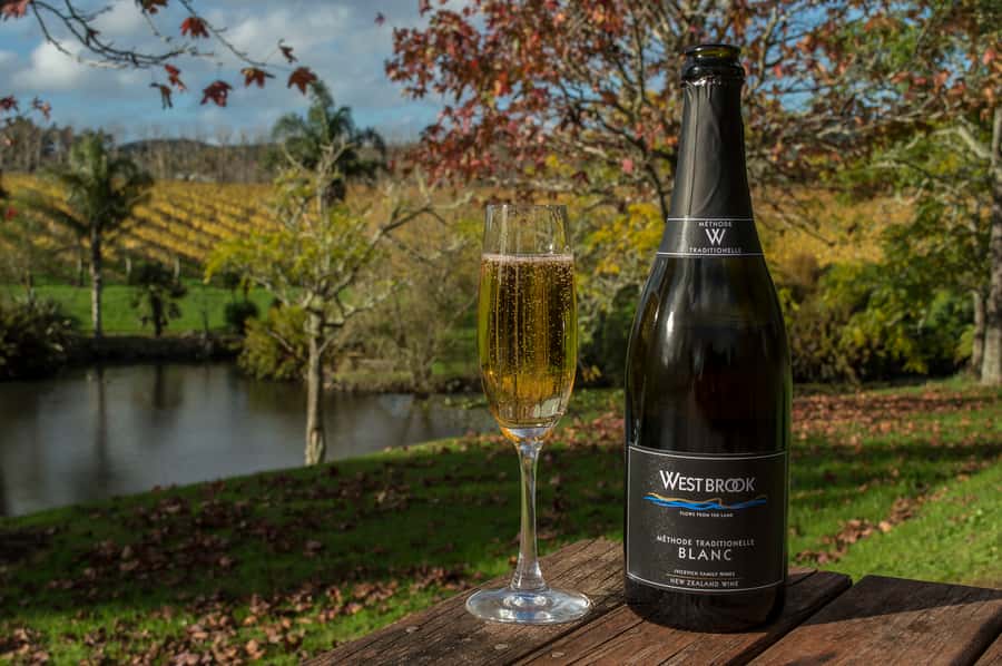 From Auckland: Small Group Kumeu Wine Tour with Lunch - Coopers Creek: Tastings With Options for Every Taste