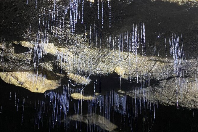 From Auckland: Spellbound, Waitomo Glowworm Cave Small Group Tour - Spellbound in Waitomo: Twin Caves, Boat Ride Magic, and Cave Photography