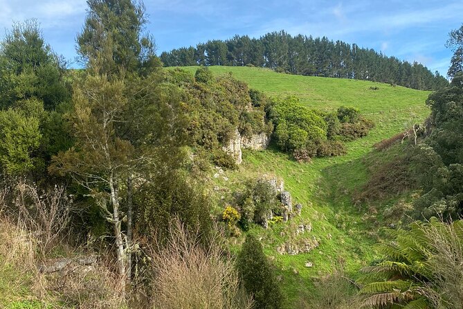 From Auckland: Spellbound, Waitomo Glowworm Cave Small Group Tour - Price and Value From Auckland: What You’re Paying For