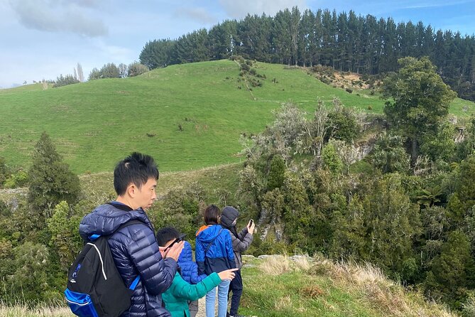 From Auckland: Spellbound, Waitomo Glowworm Cave Small Group Tour - Should You Book This Auckland to Waitomo Glowworm Tour?
