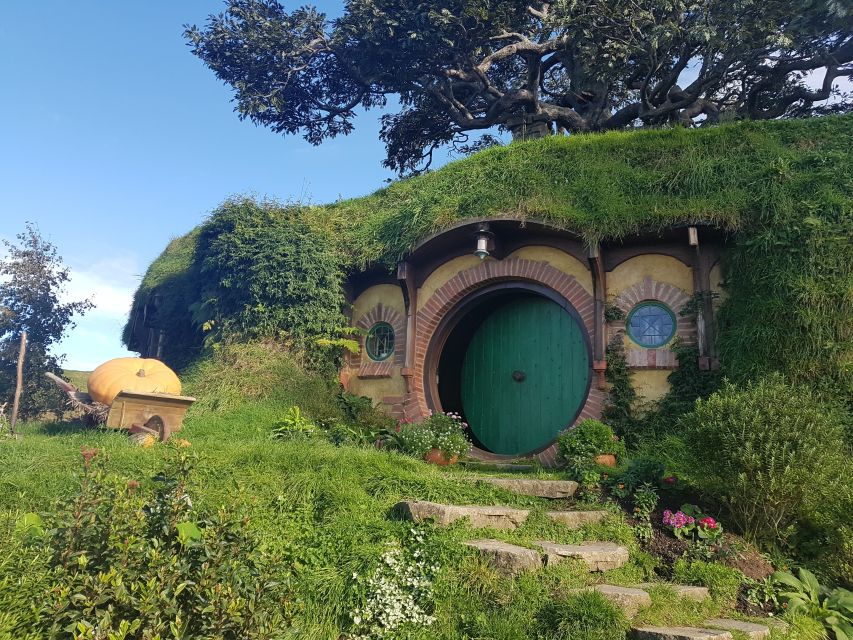 From Auckland: Two-Day Hobbiton, Rotorua, Waitomo Caves Tour - Transportation and Comfort: Why This Tour Feels Different