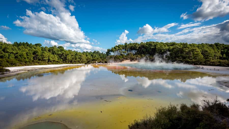 From Auckland: Wai-O-Tapu & Polynesian Spa Rotorua Day Tour - Key highlights you should care about