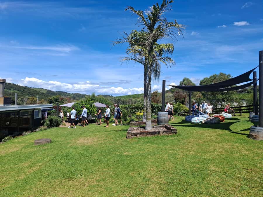 From Auckland: Waiheke Island Sip & Savour Tour with Lunch - Lunch with wine: how they keep it filling and social