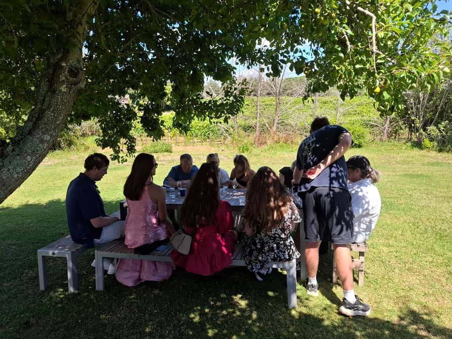 From Auckland: Waiheke Island Sip & Savour Tour with Lunch - Who should book this Sip and Savour tour?