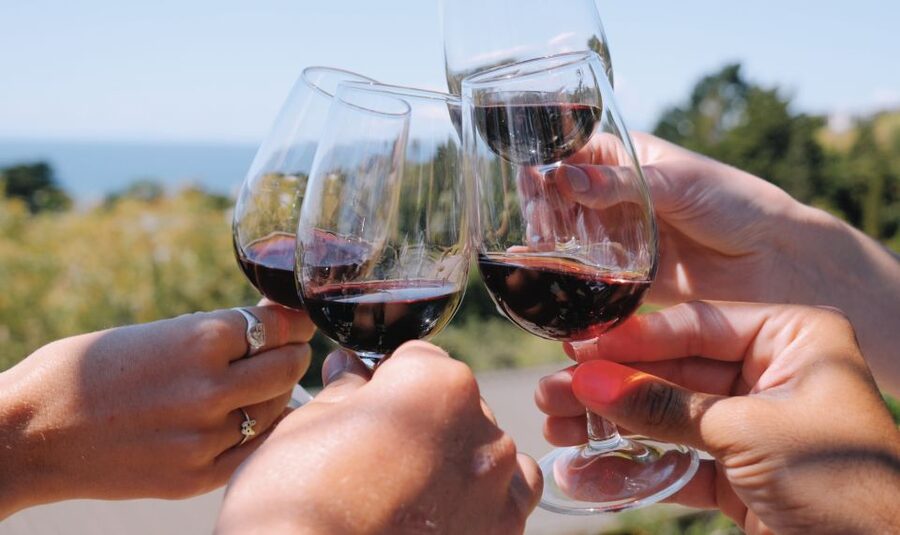 From Auckland: Waiheke Island Wine Cellar Tour - Guides Make or Break the Day, and Here They Lean Into Personality