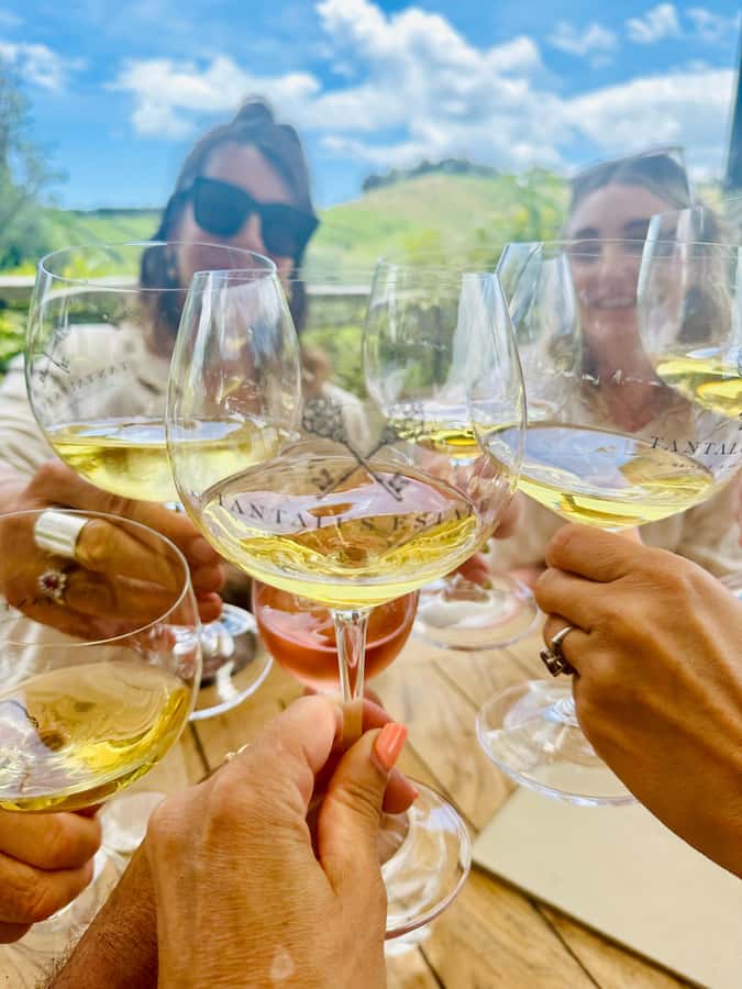 From Auckland: Waiheke Island Wineries' Tour - Auckland to Waiheke: the ferry ride that sets the tone