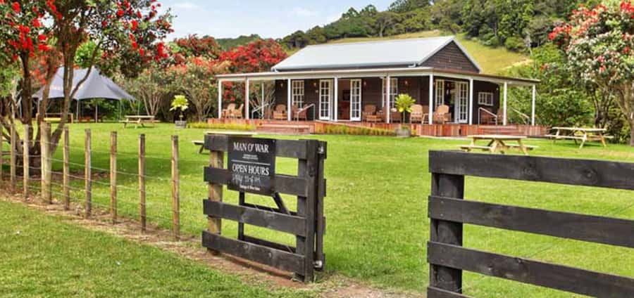 From Auckland: Waiheke Island Wineries' Tour - Getting back to Auckland: ferry transfer or a quick walk