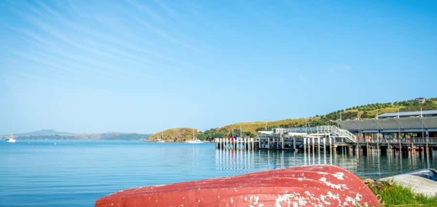 From Auckland: Waiheke Island Wineries' Tour - Four winery tastings: how to get the most from each stop