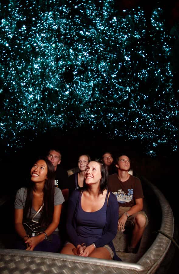 From Auckland: Waitomo Caves and Kiwi House Group Tour - Key things to know before you go