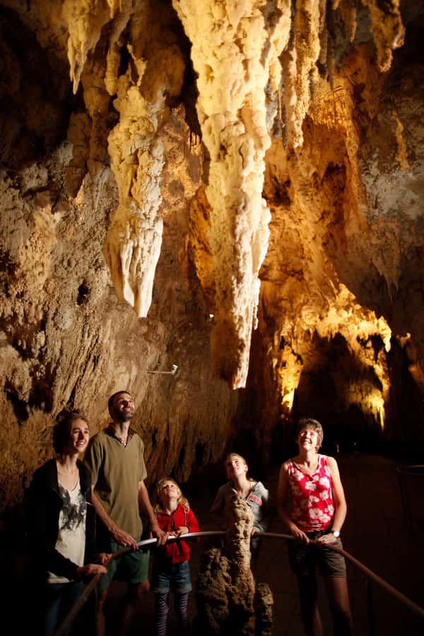 From Auckland: Waitomo Caves and Kiwi House Group Tour - Glowworms up close, plus what to expect from the pace underground