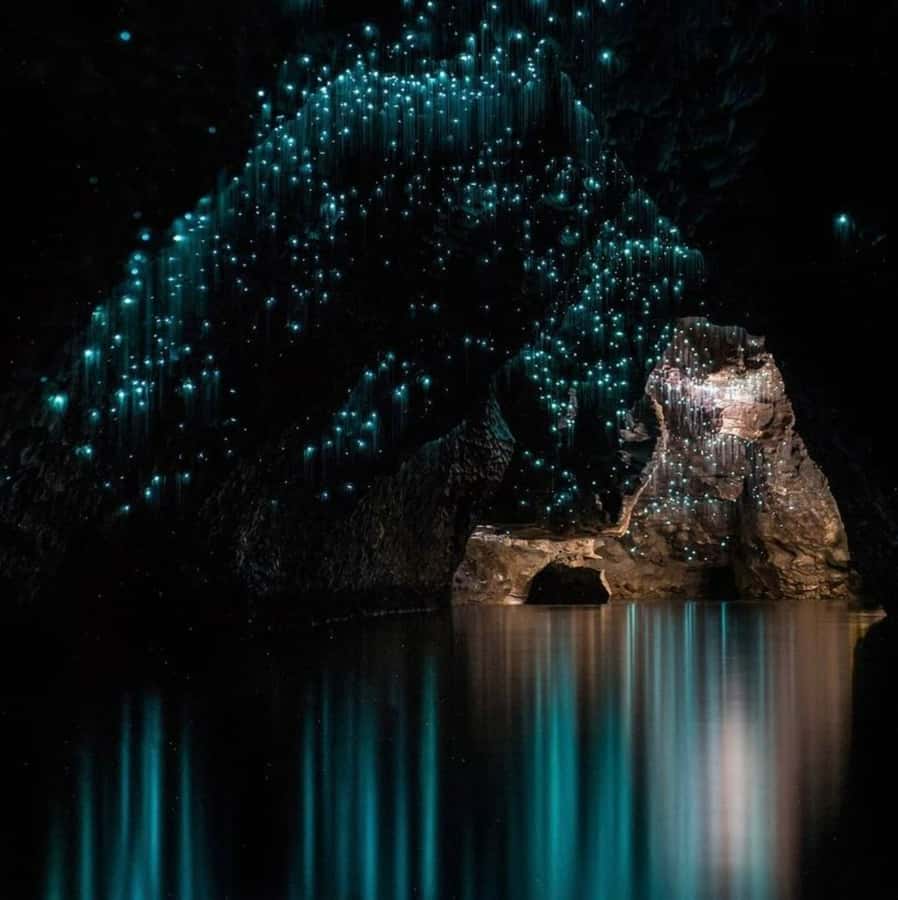 From Auckland: Waitomo Caves and Kiwi House Group Tour - Practical tips to make the most of Ruakuri and the Kiwi House