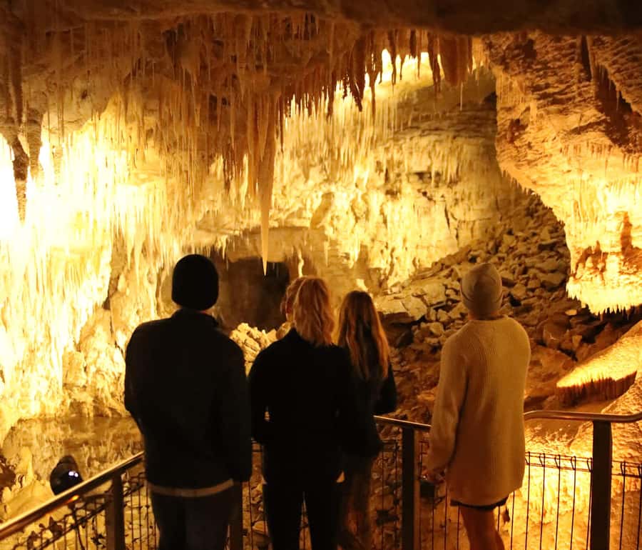 From Auckland: Waitomo Glow Worm Caves & Rotorua Tour - Key things I’d circle before you go