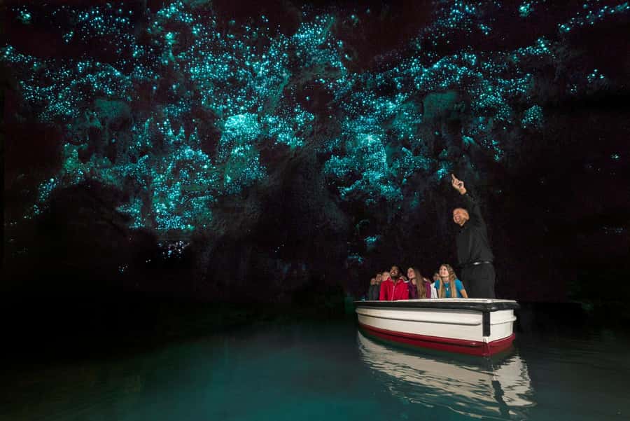 From Auckland: Waitomo Glow Worm Caves & Rotorua Tour - Te Puia geothermal park, Pohutu Geyser, and the heat you can feel