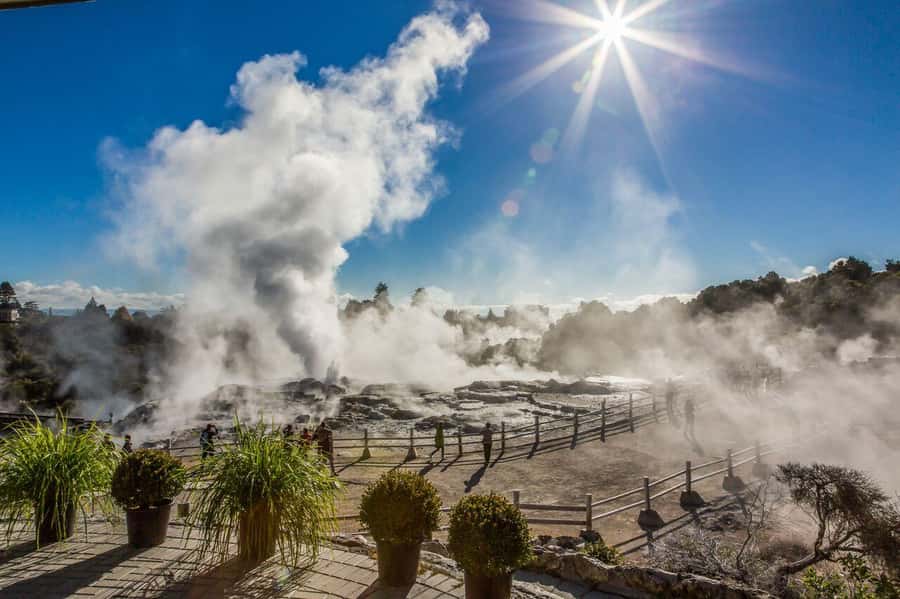 From Auckland: Waitomo Glow Worm Caves & Rotorua Tour - Should you book this Auckland to Waitomo and Rotorua tour?