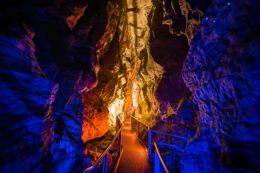 From Auckland: Waitomo Glowworm and Ruakuri Caves Day Tour - Auckland to Waitomo, then Ruakuri: the 11-hour rhythm
