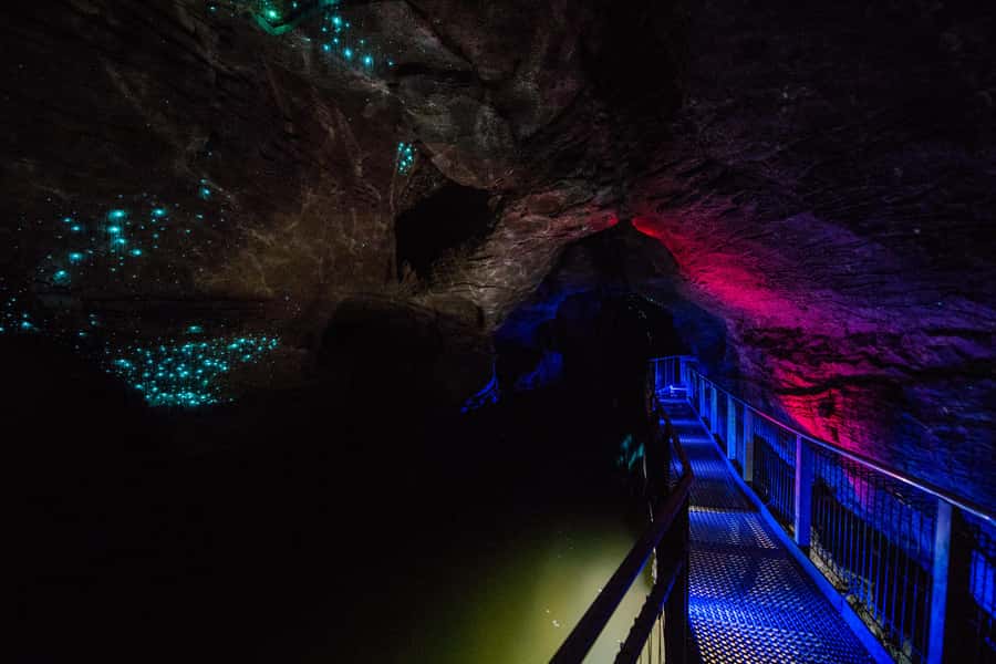 From Auckland: Waitomo Glowworm and Ruakuri Caves Day Tour - Comfort and readiness: what to bring for a smooth day