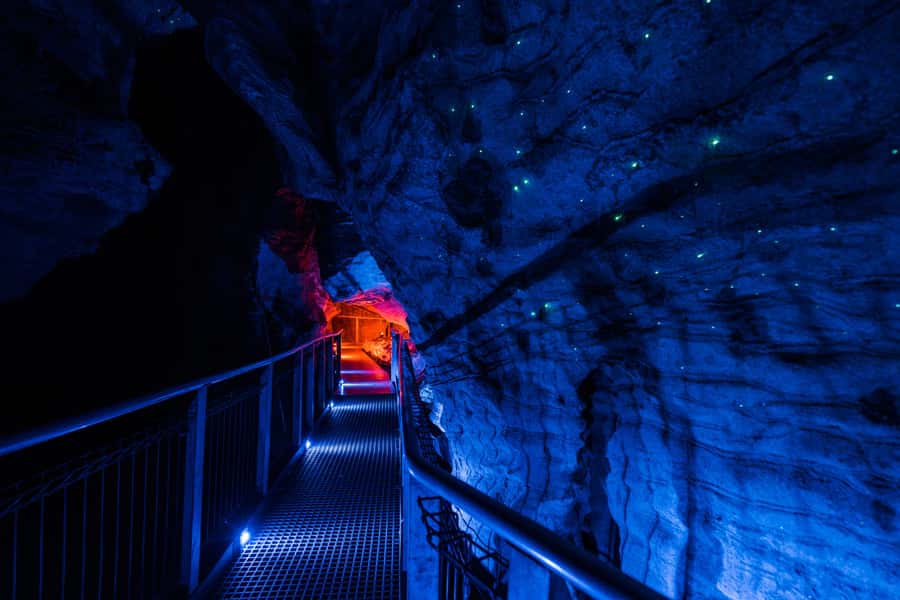 From Auckland: Waitomo Glowworm and Ruakuri Caves Day Tour - Should you book this day tour?