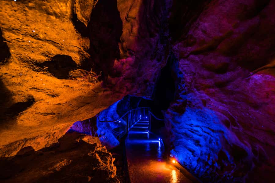 From Auckland: Waitomo Glowworm and Ruakuri Caves Day Tour - Waitomo Glowworm Caves: Arachnocampa luminosa and the boat ride