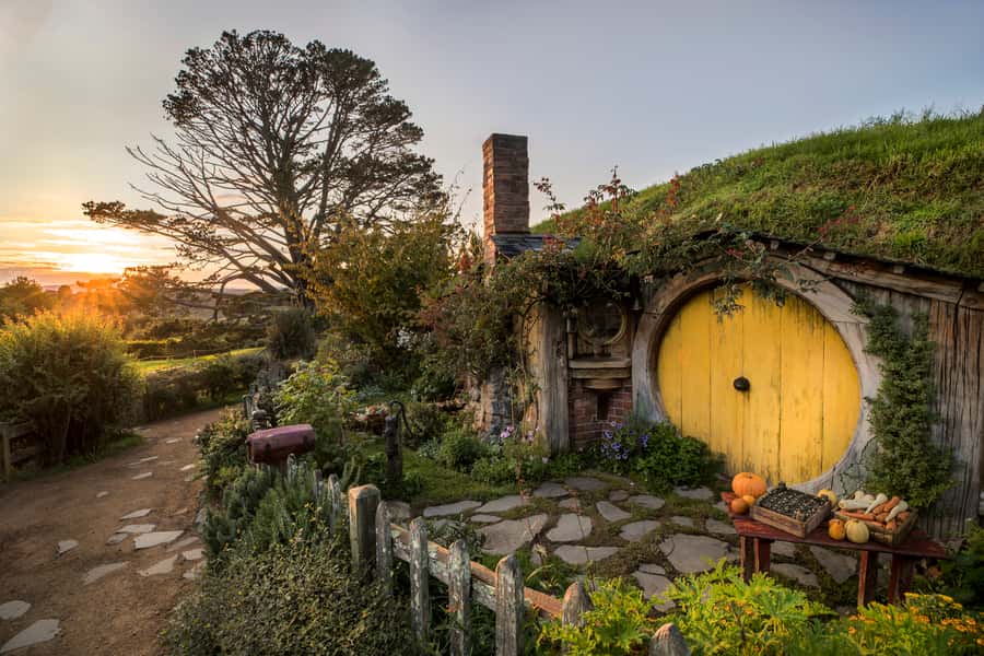 From Auckland: Waitomo & Hobbiton Bus Tour with Lunch - Key things that make this day trip work