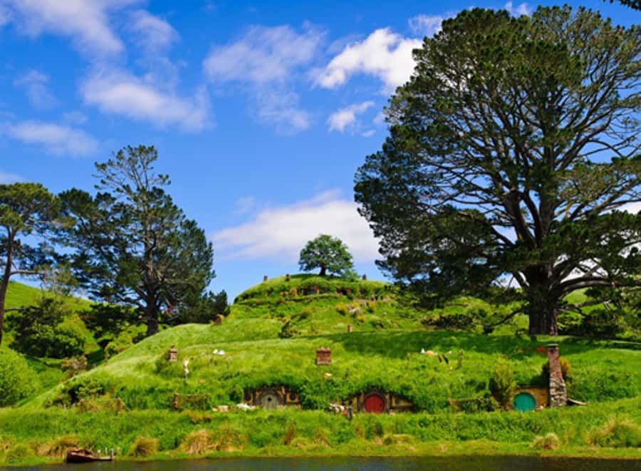 From Auckland: Waitomo & Hobbiton Bus Tour with Lunch - Waitomo Glowworm Caves: Limestone Tunnels, a Guided Walk, and a Boat Through Glowworm Grotto