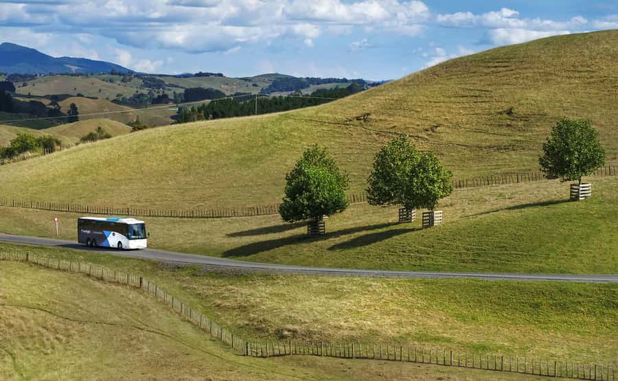 From Auckland: Waitomo & Hobbiton Bus Tour with Lunch - Price and Value: Is $261 Worth It for This Two-Stop Day?