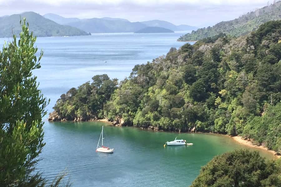 From Blenheim/Picton: Marlborough Gourmet Wine Tasting Tour - Key highlights worth planning for