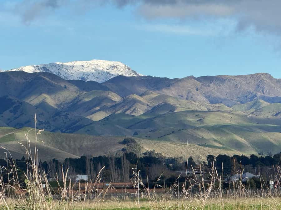From Blenheim/Picton: Marlborough Gourmet Wine Tasting Tour - Makana Chocolate Factory: the sweet stop that actually earns its place